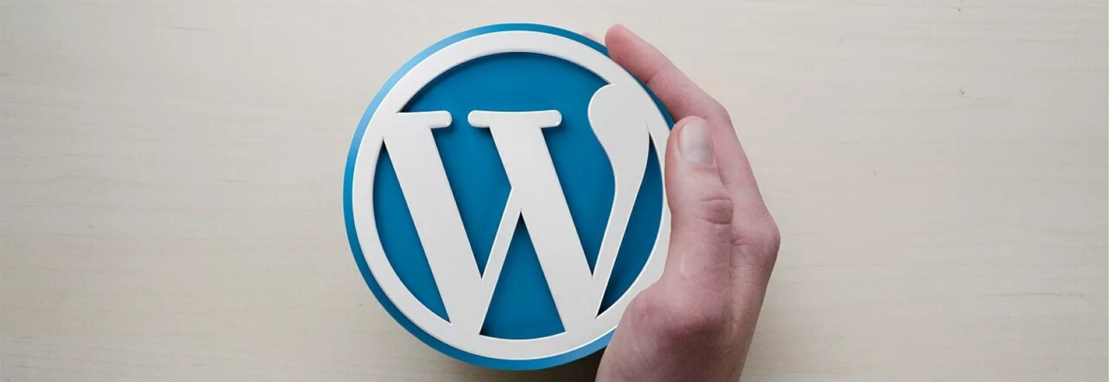 velocidade do wordpress